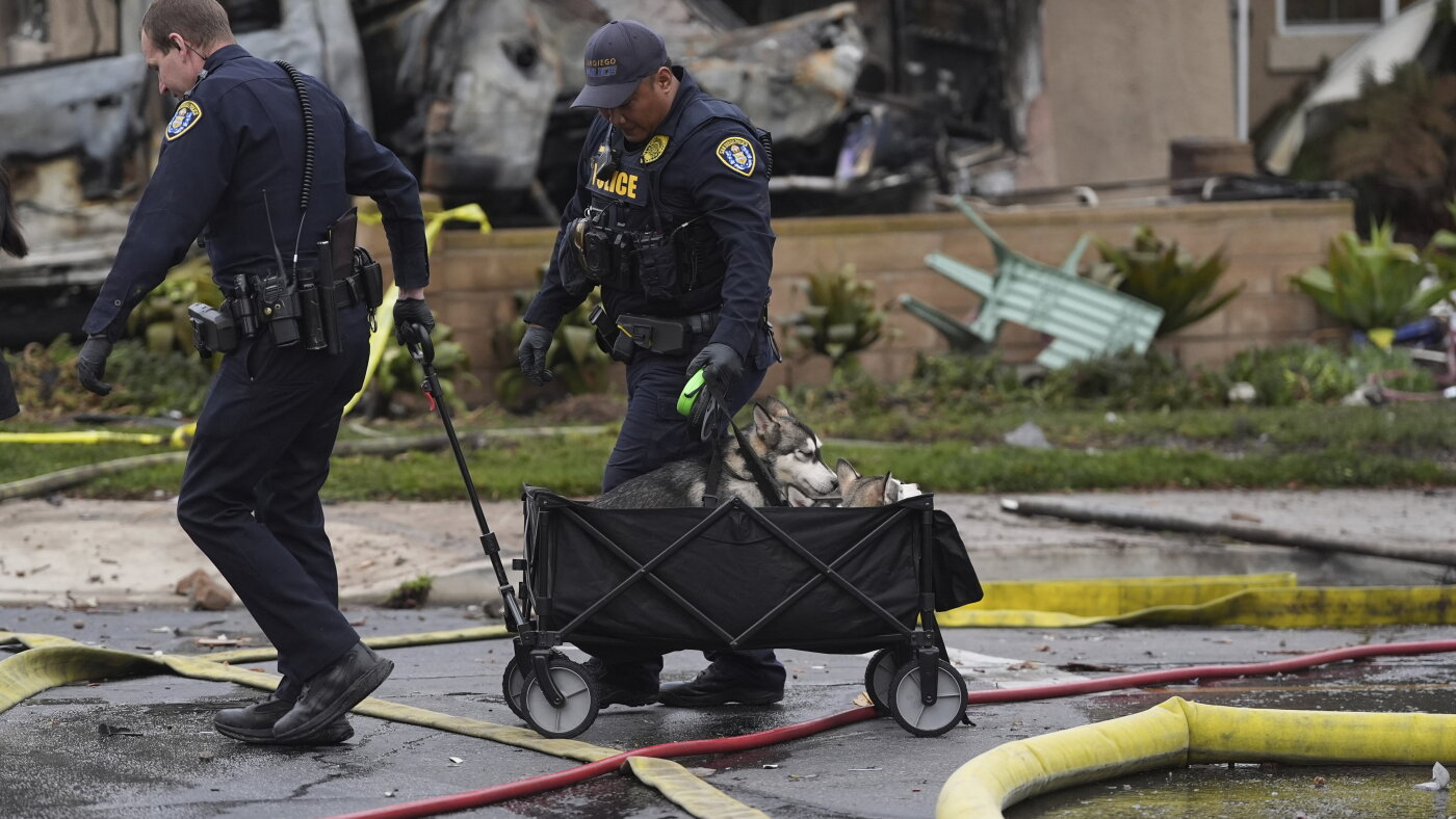 San Diego jet crash: Music agent Dave Shapiro among the dead : NPR