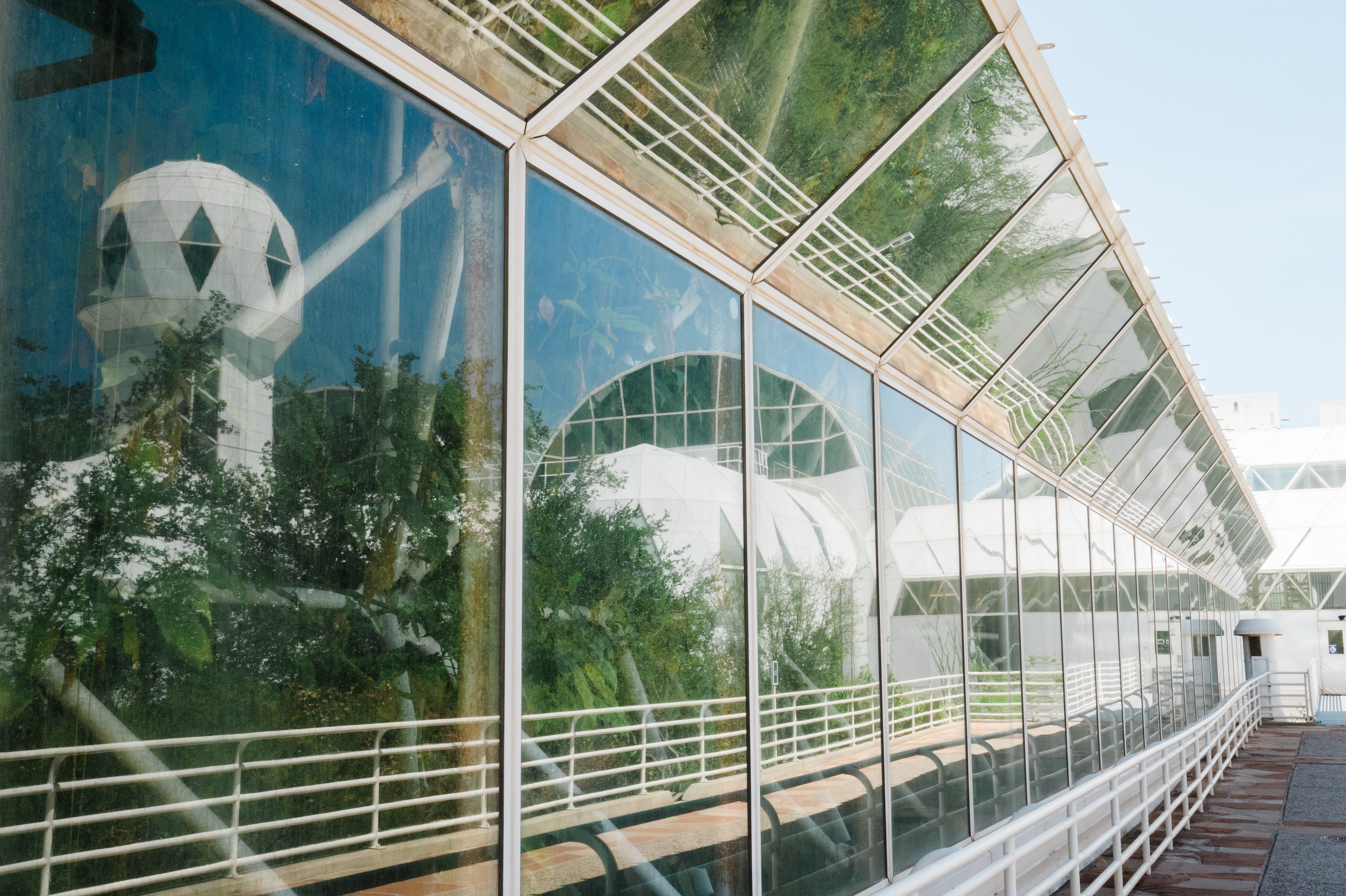 Trees grow against the windows at Biosphere 2 on June 20, 2025 in Oracle, Ariz., U.S.