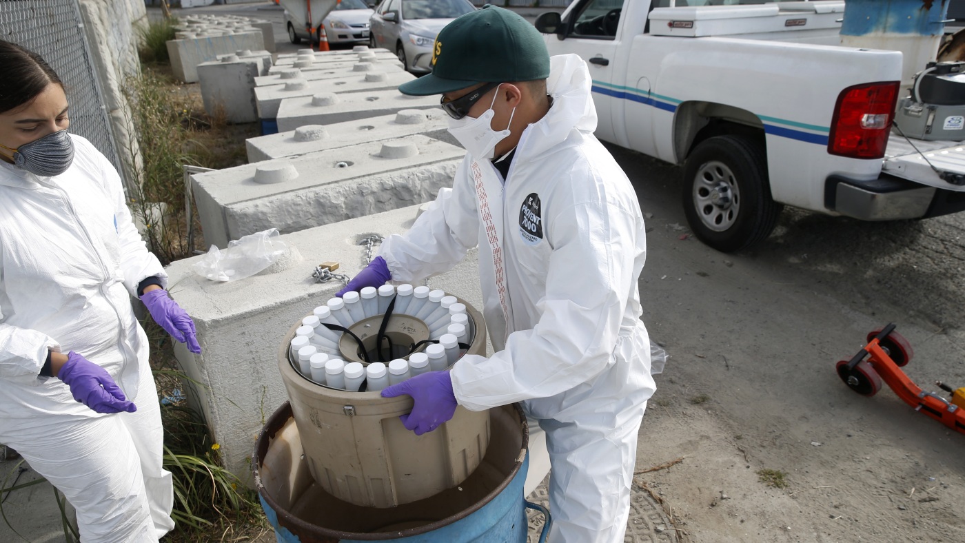Goats and Soda : NPR Goats and Soda : NPR