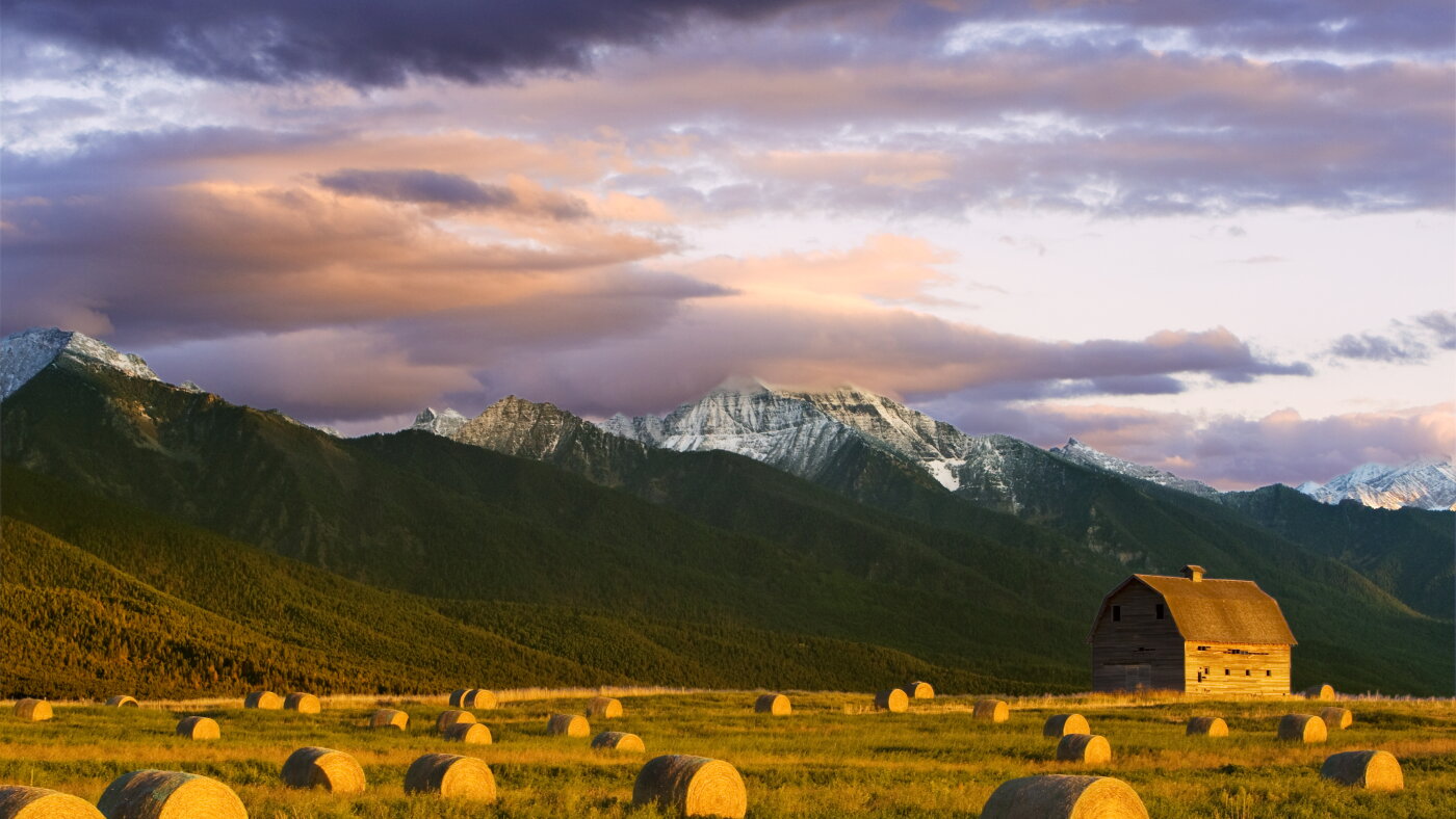 Montana farmers caught in U.S.-Canada tariff war