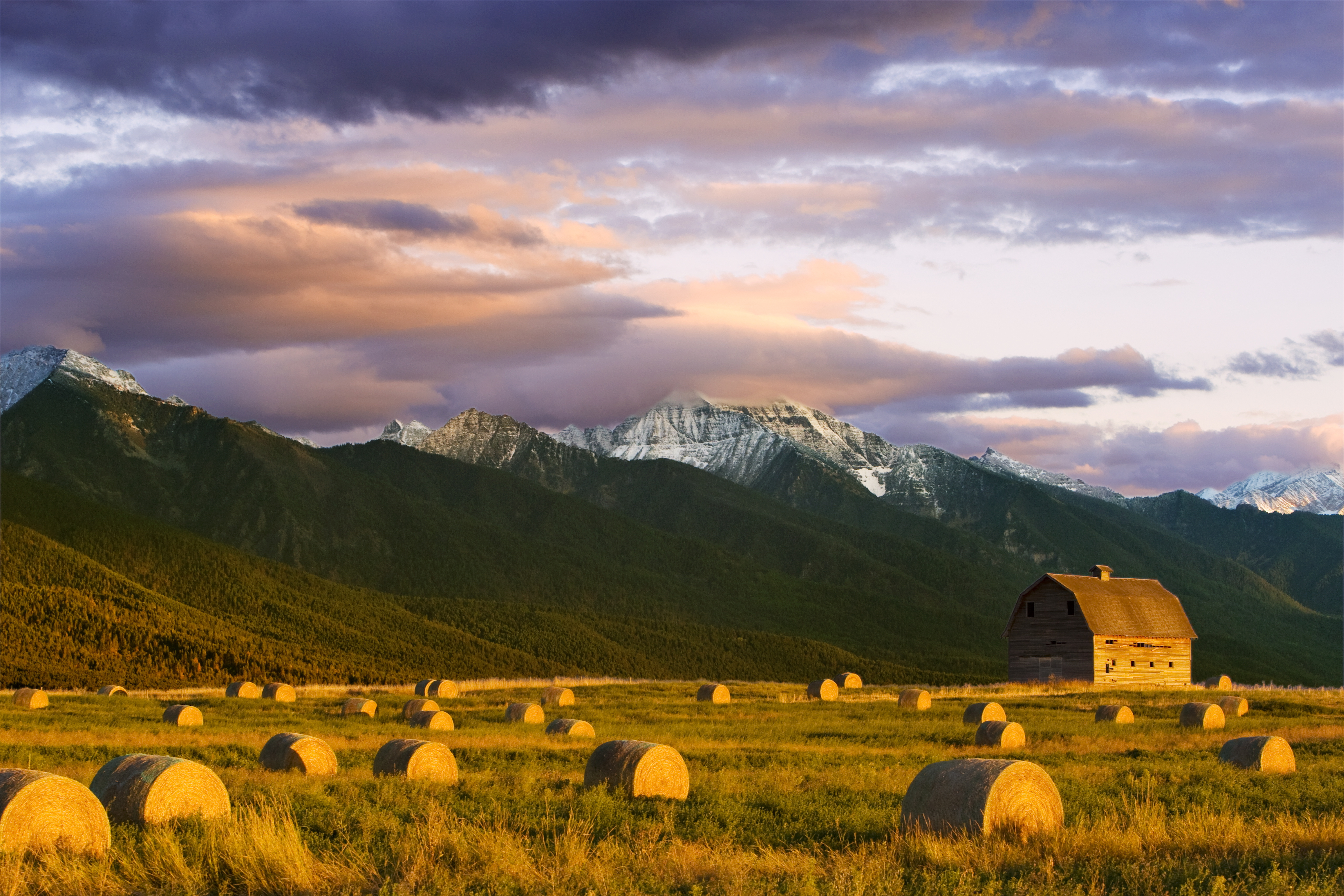 Geopolitics and grain don't mix, say these Montana farmers
