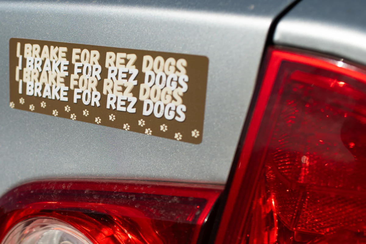 A bumper sticker made by Naelyn Pike, a local member of the San Carlos Apache Tribe. 'I care, and there's a lot of community members that care for these stray dogs on our reservation,' says Pike.