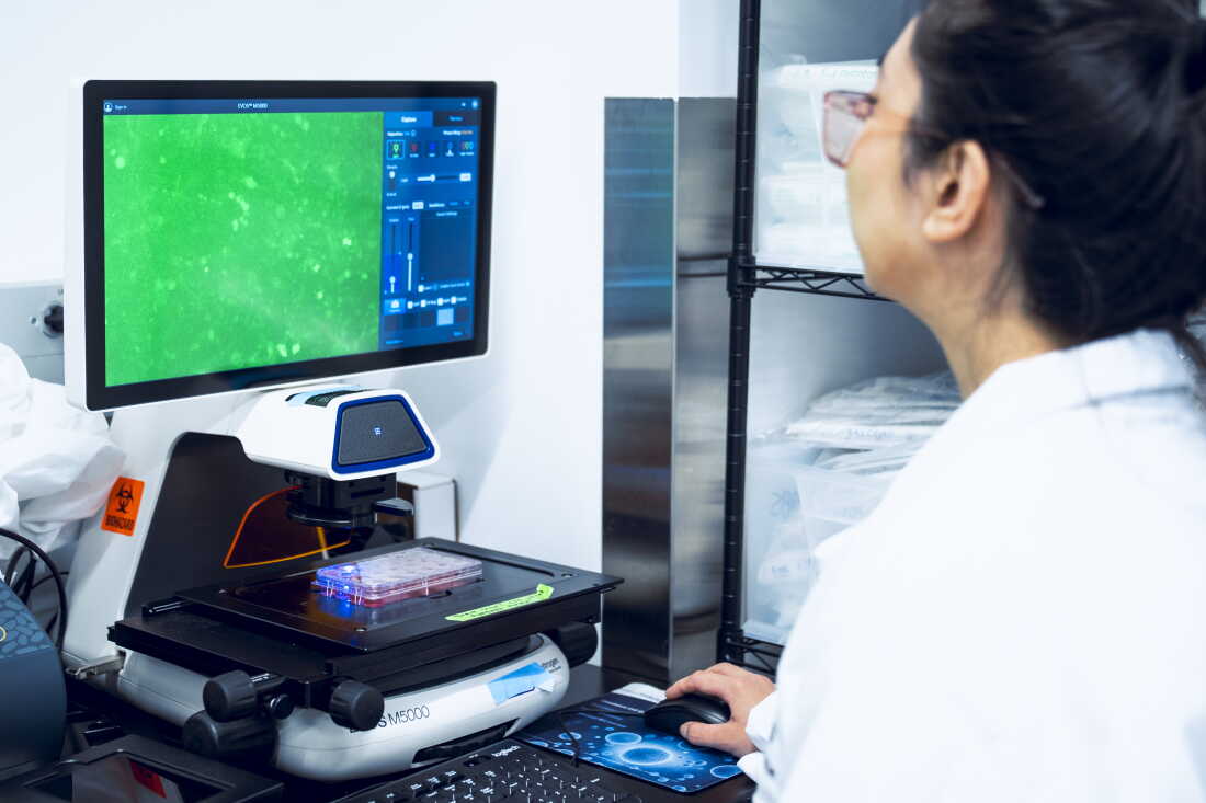 Tie examines cells carrying a genetic mutation that increases the risk for breast cancer that have been injected with one of Origin’s experimental gene editors.