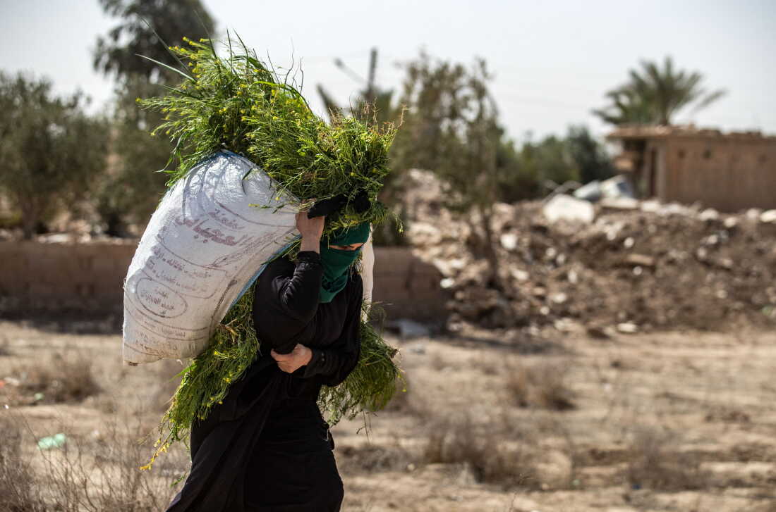 A woman carries freshly harvested grass for cattle as she walks in front of houses damaged by heavy fighting in the village of Baghouz in Syria's northern Deir Ezzor province, on March 24, 2021, where two years ago, the Islamic State Group (IS) made their last stand before being defeated.