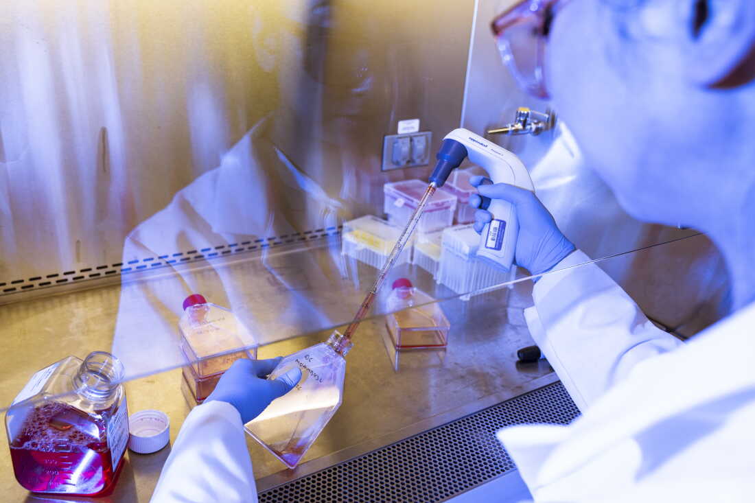 Cathy Tie, the founder and CEO of Origin Genomics, replenishes nutrients sustaining cells the New York City startup is using to test its technology for repairing defective genes.