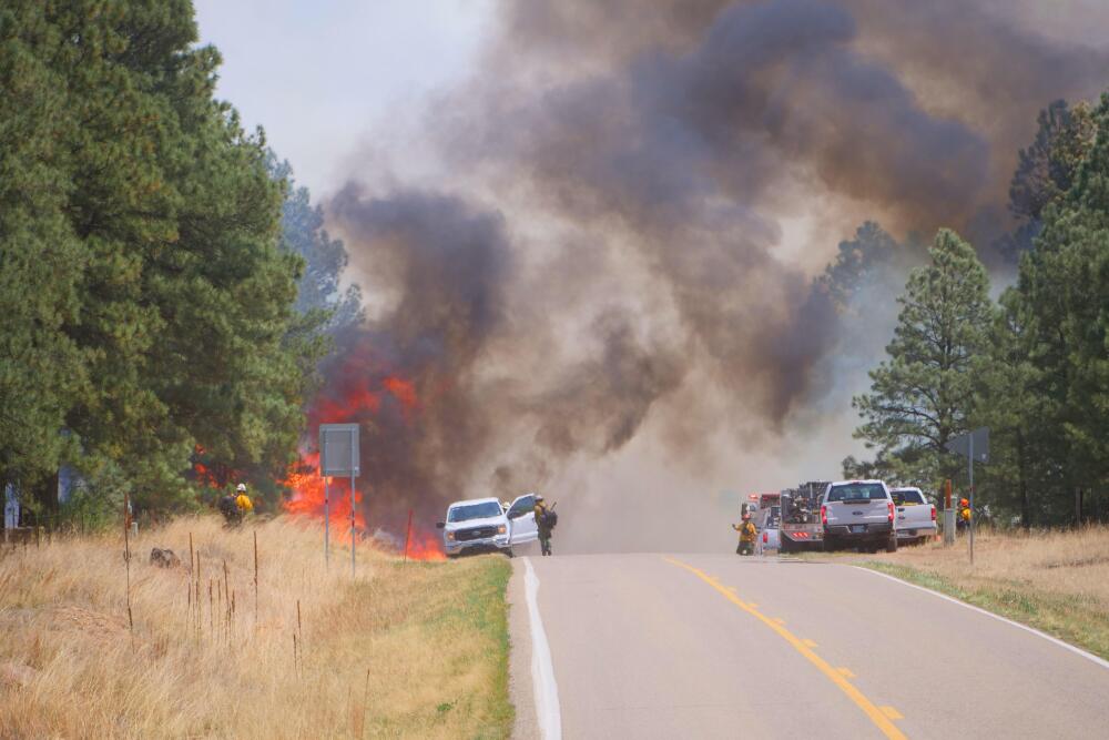 The Hermits Peak fire approaches Highway 434 at Christmas Tree Canyon in New Mexico in 2022 (Inciweb)