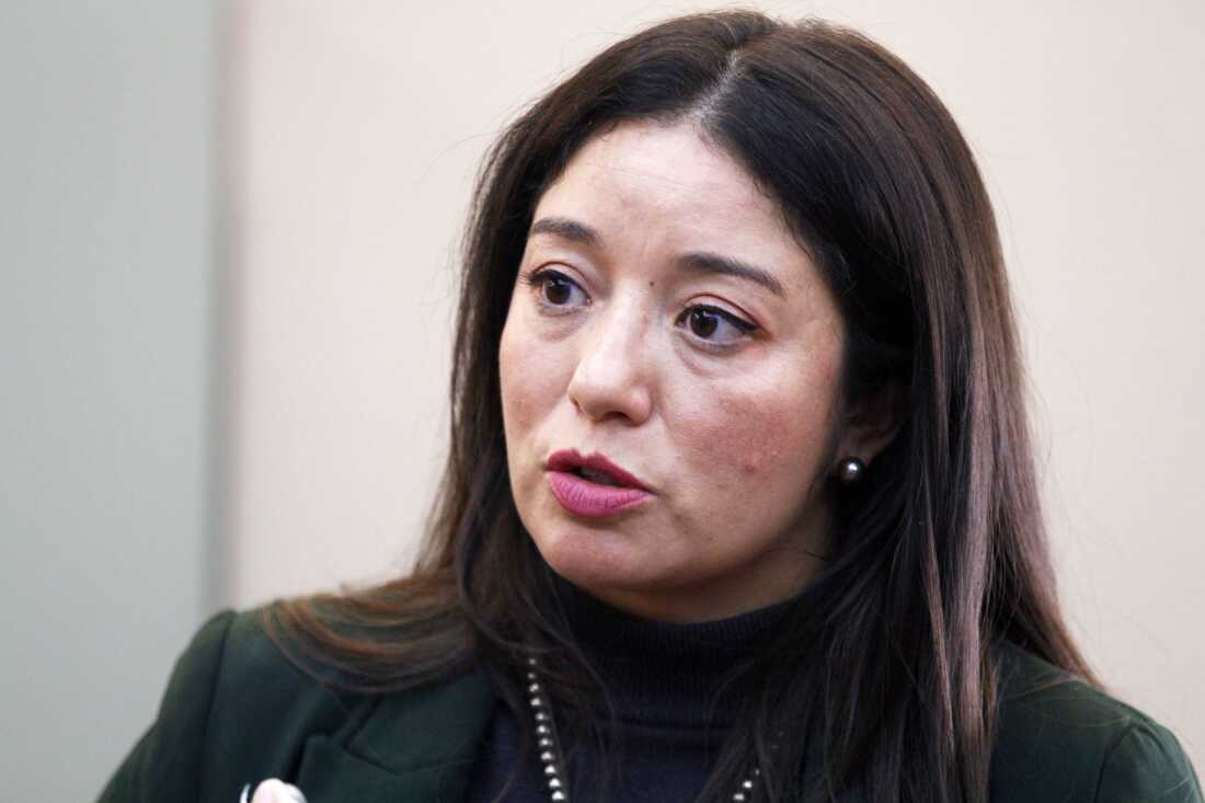 Santa Fe, NM'den Demokratik eyalet Temsilcisi Andrea Romero, 17 Şubat 2026 Salı günü Santa Fe'deki Eyalet Kongre Binası'nda finansör ve seks suçlusu Jeffrey Epstein'ın bir zamanlar konukları eğlendirdiği gözlerden uzak bir çöl çiftliğinde iki partili bir hakikat komisyonunun faaliyete geçmesinden ve yerel yetkililerin görmezden gelip gelmediğinden bahsediyor. (AP Fotoğrafı/Morgan Lee)