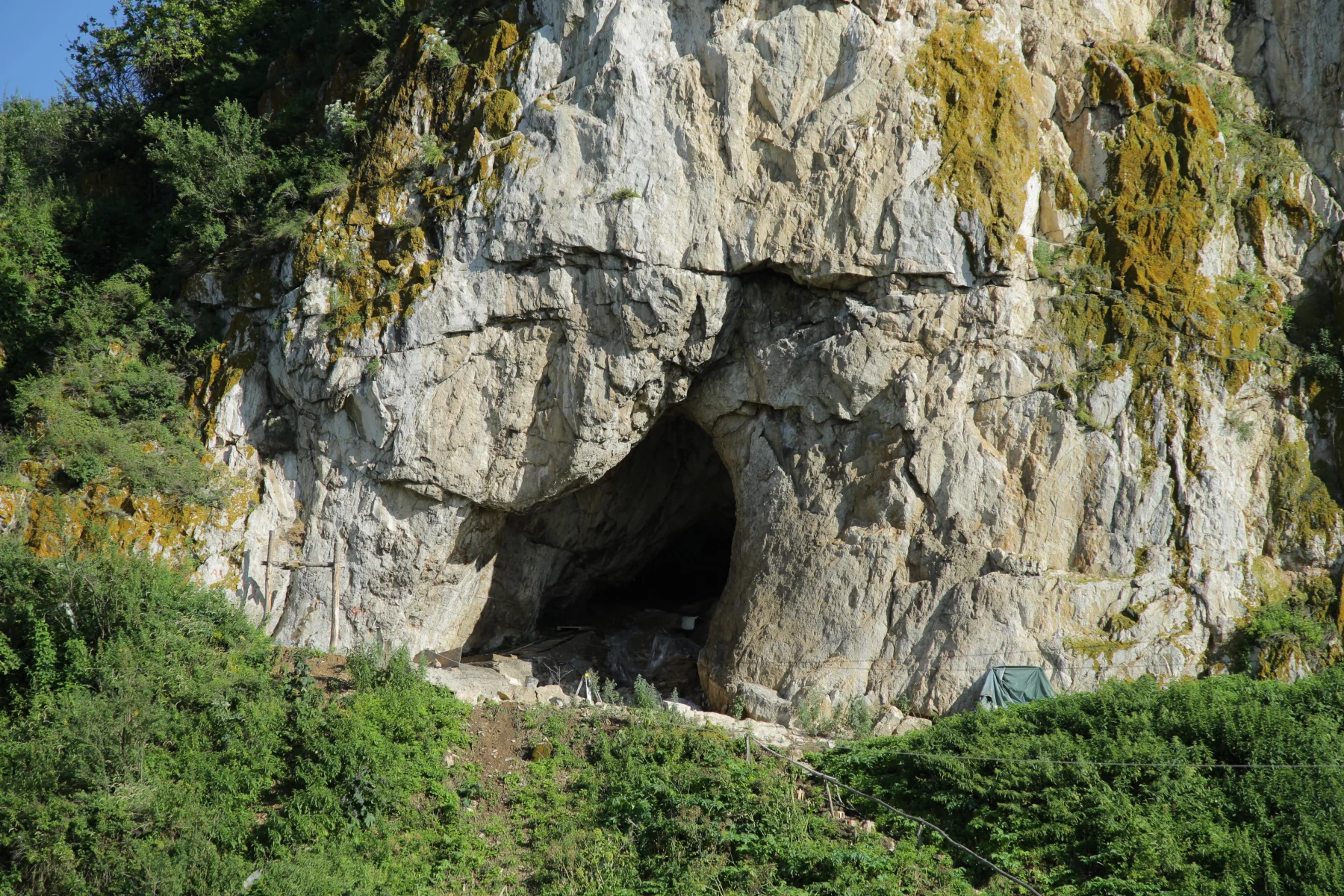 Post image 6
