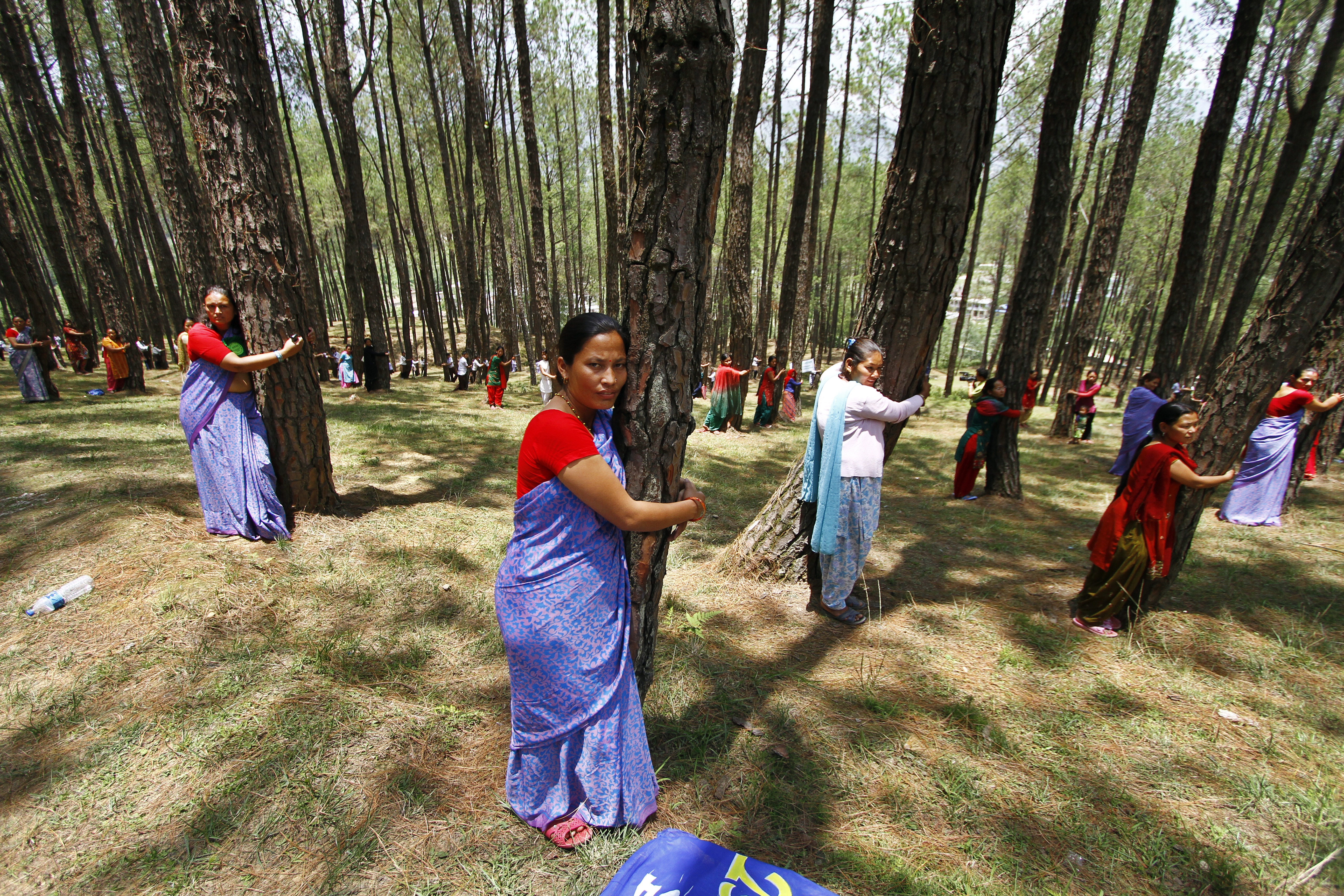 Nepalese people hug trees during a mass tree hugging on World Environment Day in Katmandu, Nepal, Sunday, June 5, 2011. (AP)