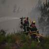 Firefighters spray water in a burning forest near Lacanau, southwestern France, Saturday, July 25, 2026.