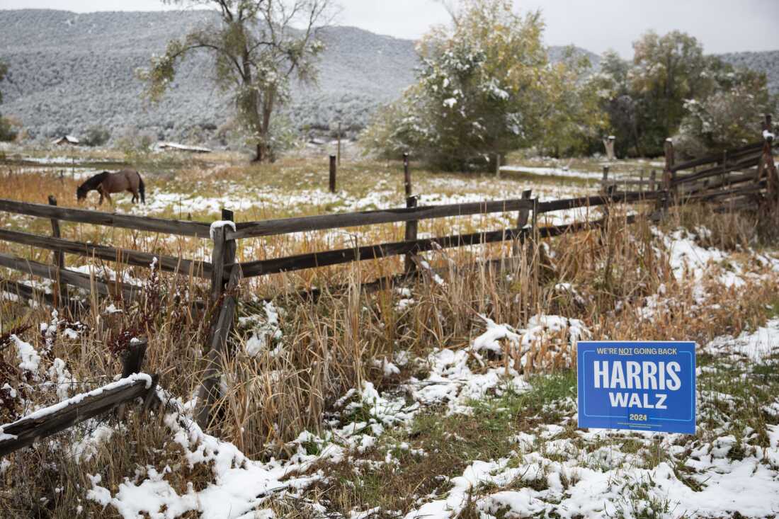 Paonia has farming and ranching families, artists, winemakers, remote workers — and a mix of political views, one choir member says.