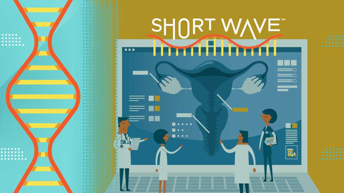 Illustration of medical professionals studying a large digital diagram of the female reproductive system, focusing on the uterus and ovaries. The background includes data charts and anatomical labels. At the top, the text "SHORT WAVE" appears with a stylized red and yellow wave pattern below it. On the left next to the image, a stylized red and yellow wave pattern runs vertically in front of a solid teal background.