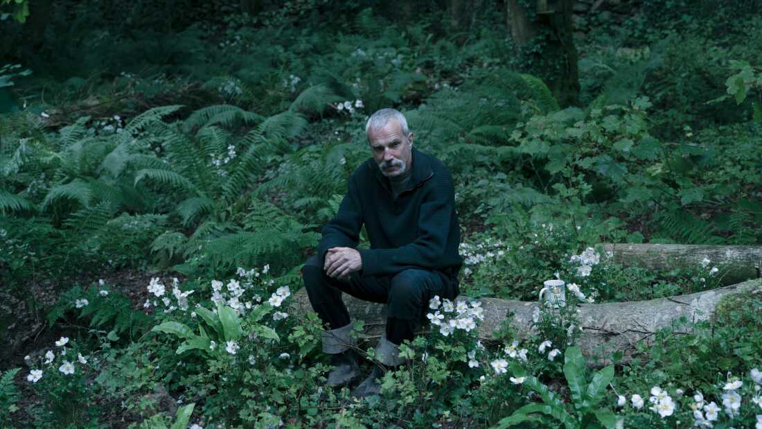 Daniel Day-Lewis em Anemone