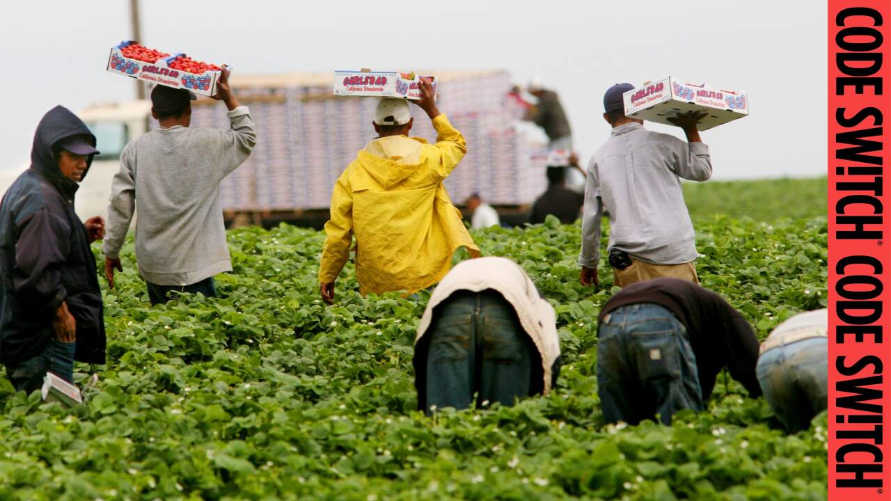 How farm work became the exception to Trump's border crackdown podcast