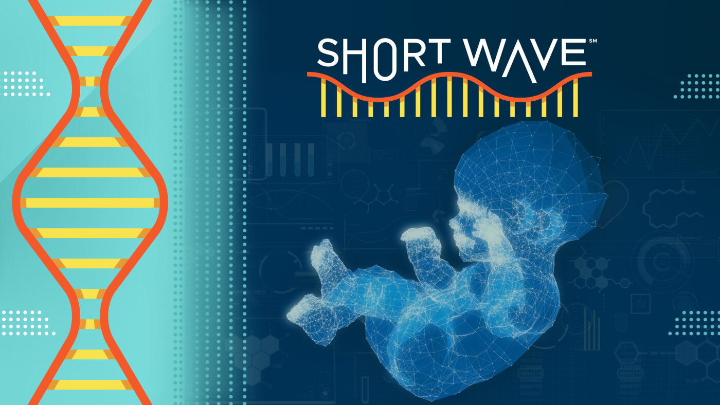 First Modified Baby The tech behind genetically modified babies is getting a reboot : Short ...