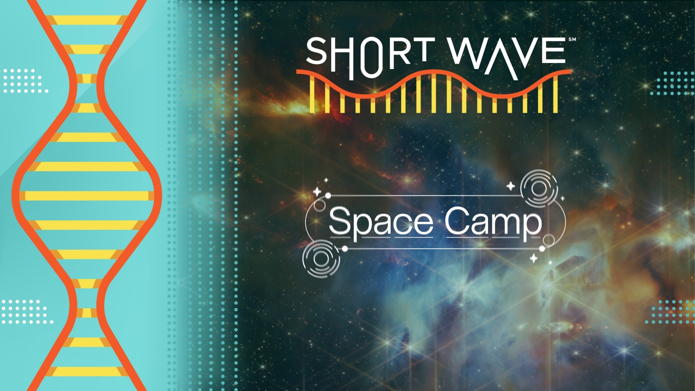 From planets to black holes, we take a look at the eccentricities of area