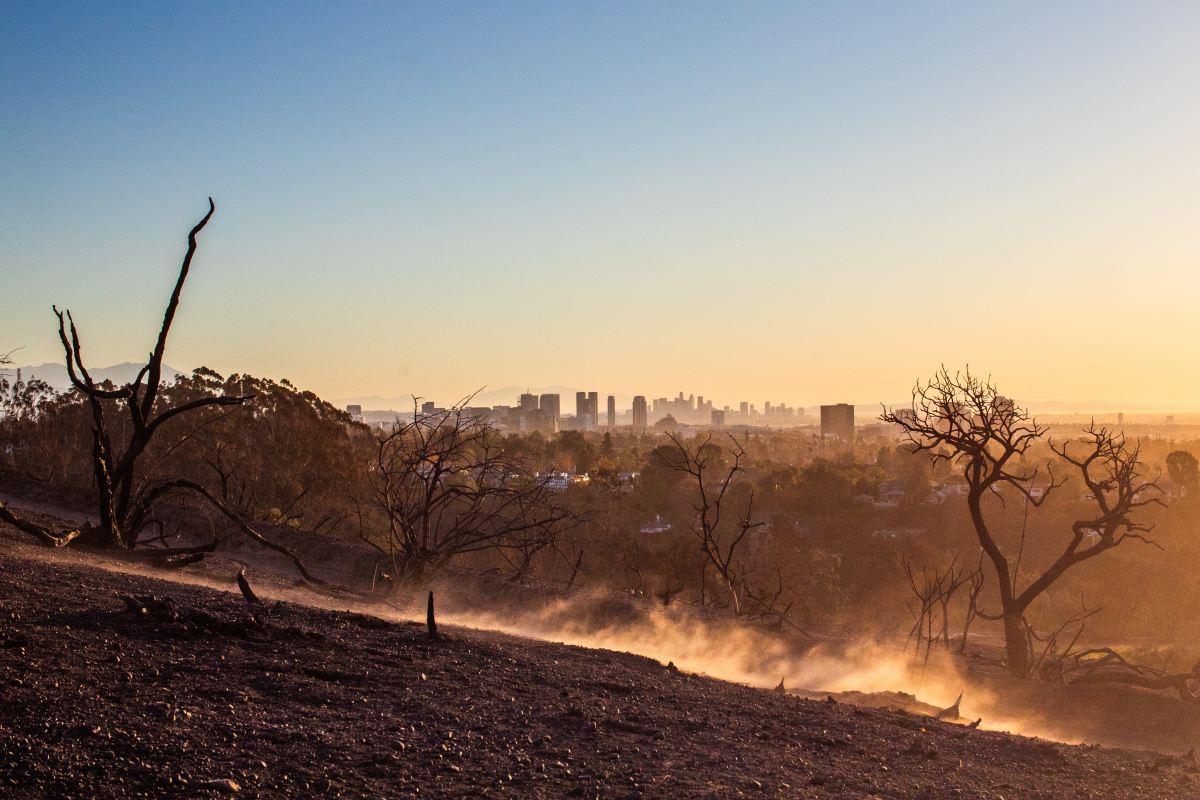 Dust and ash from the Palisades and Eaton fires spread across the Los Angeles region. Scientists are still learning about the contaminants and toxic components in the debris left behind after the fires, and the health consequences of being exposed to it.