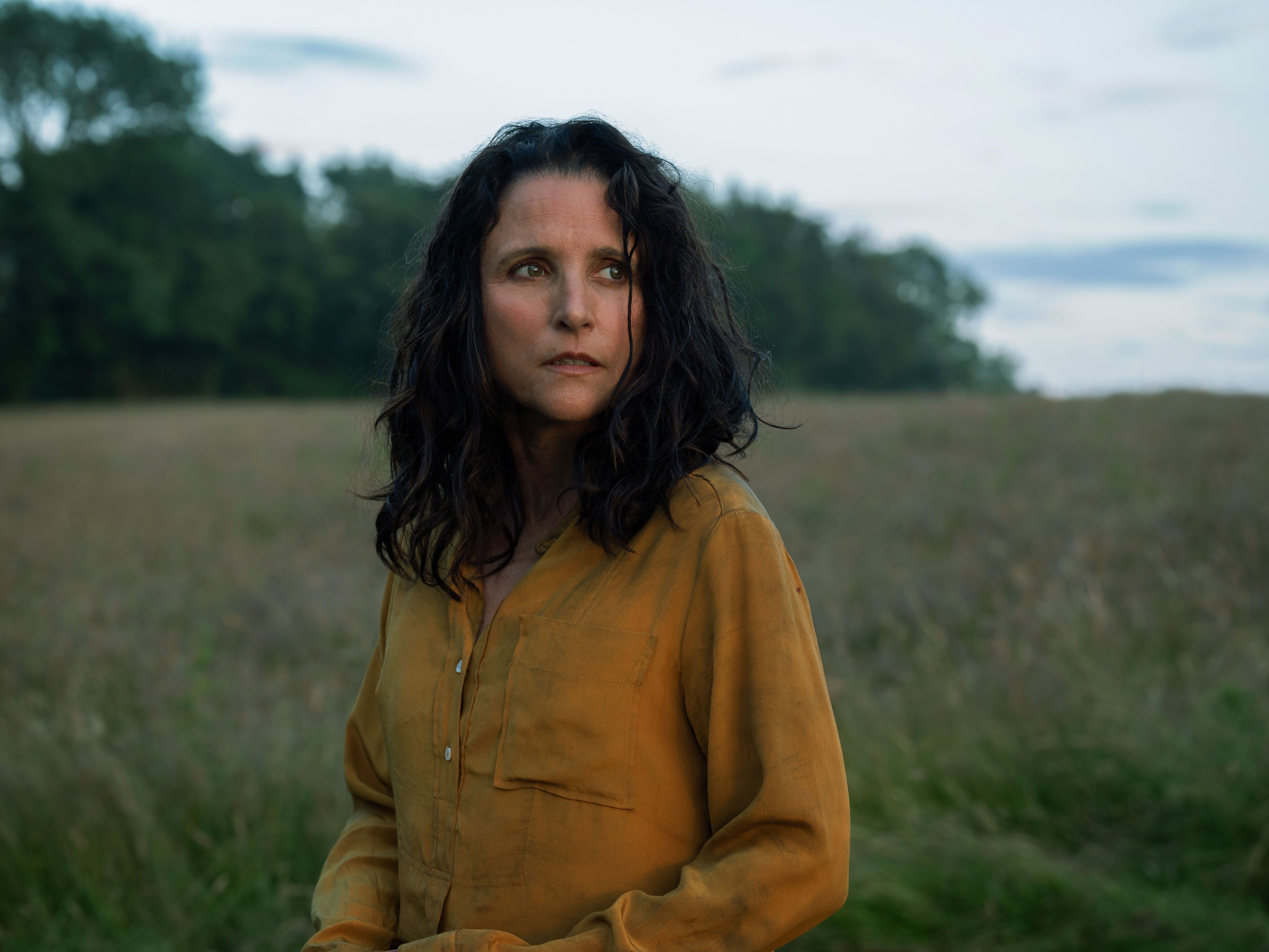Julia Louis-Dreyfus in <em>Tuesday</em>, a film about a mother dealing with death and grief.