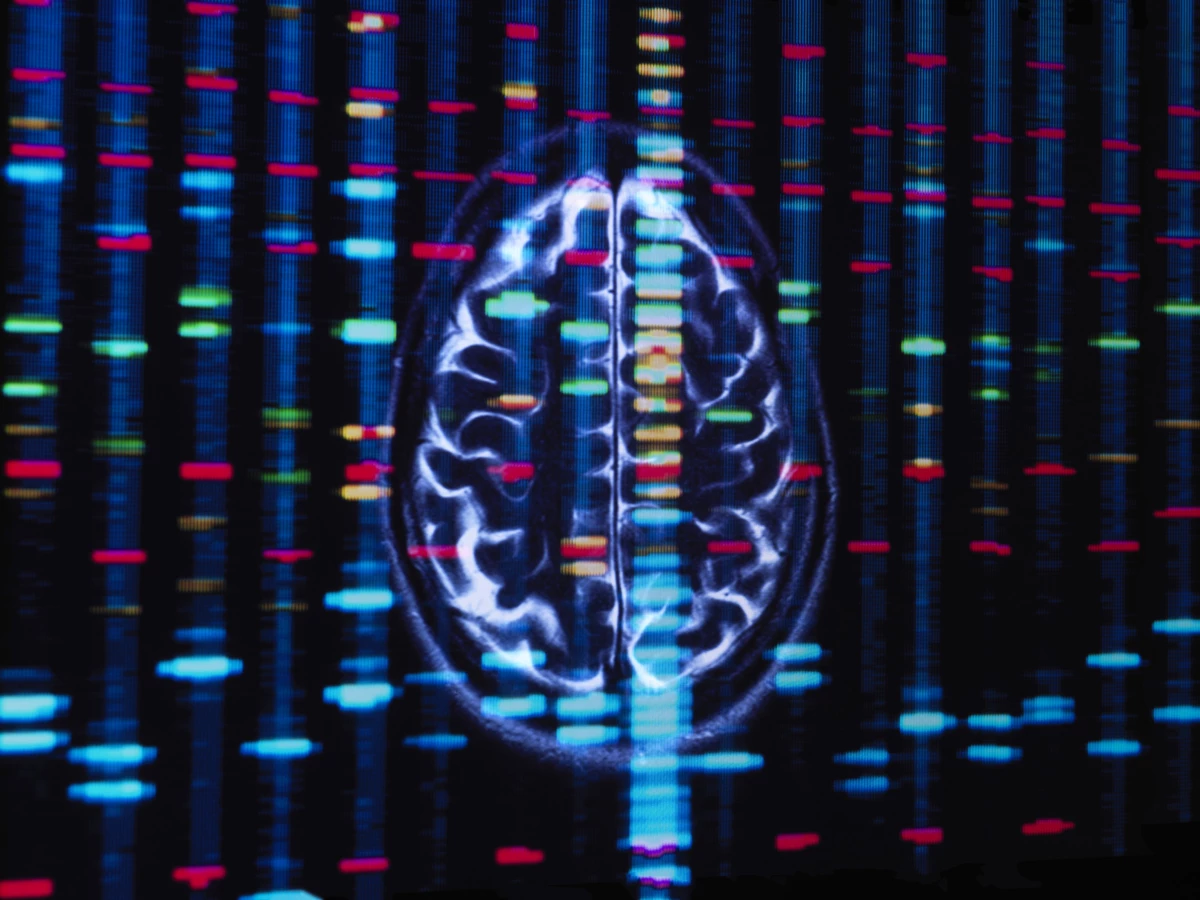 A new study looks at the roles that African and European genetic ancestries can play in Black Americans' risk for some brain disorders.