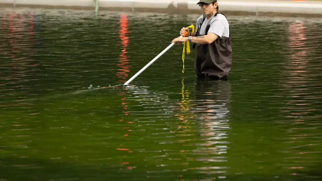 Opinion: Algae doesn't care about our party lines