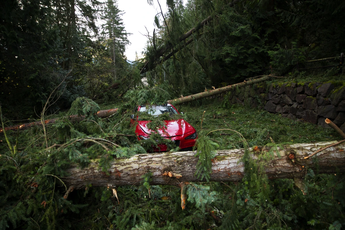 A car sits abandoned surrounded by fallen trees and debris on Nov. 21, along Northup Way in Bellevue, Wash. Full story here.