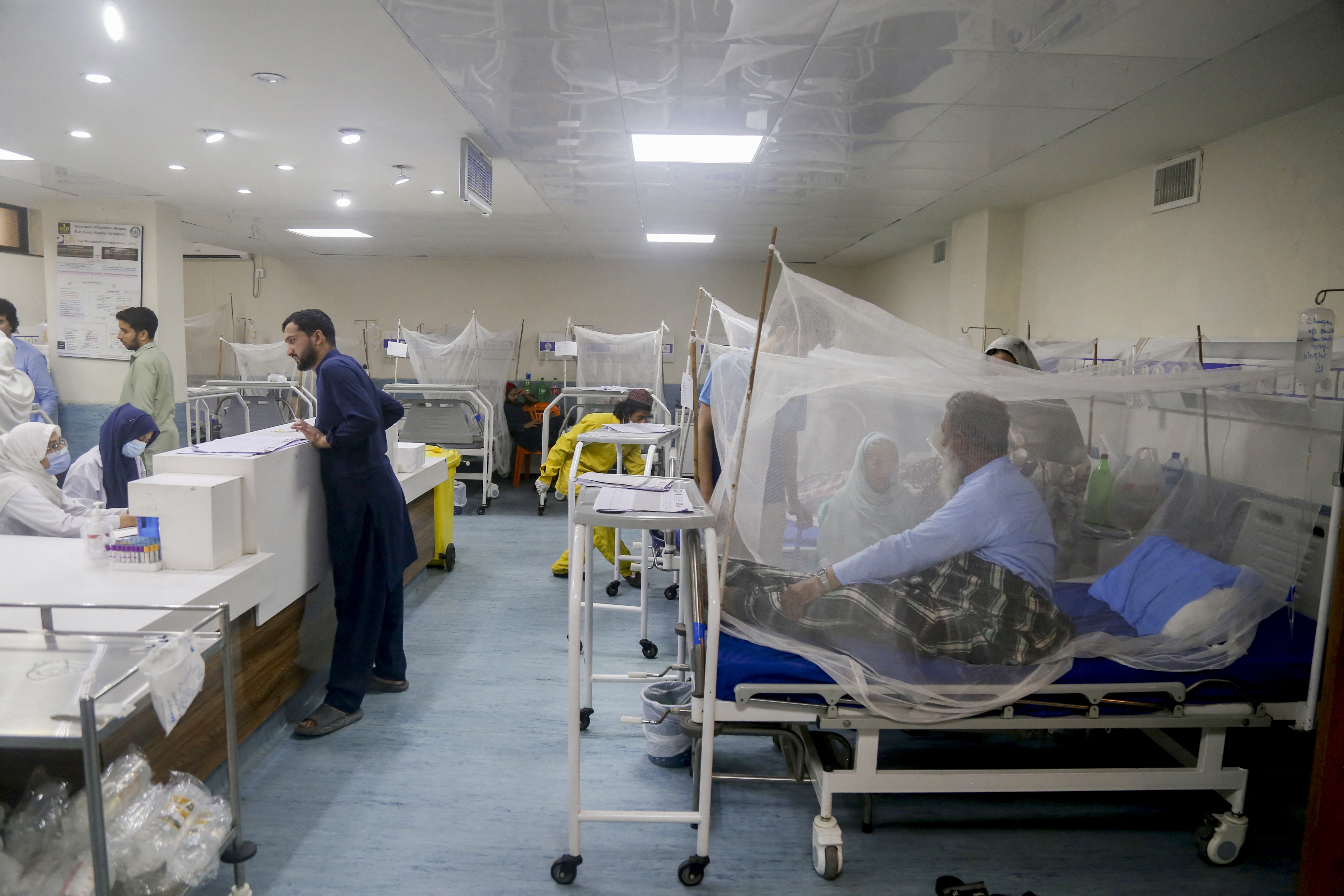 Patients who are infected with malaria and dengue virus receive treatment in an isolation ward at a hospital in Pakistan. Drugs known as artemisinins have been remarkably effective in helping malaria patients recover but there
