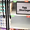 Esta foto muestra un primer plano de un refrigerador en una tienda de comestibles. El refrigerador tiene puertas de vidrio, y un letrero en una de las puertas dice: "Escasez de huevos." Los estantes detrás de las puertas tienen cajas de huevos, aunque algunas porciones de los estantes están vacías.