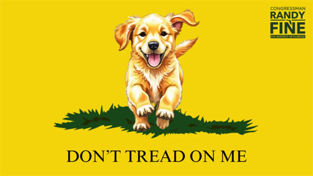 Dog One Randy Rep. Randy Fine doubles down on anti-Muslim comments | Jacksonville Today