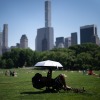 19 Mayıs 2026 Salı, New York'ta Central Park'ta ısı danışmanlığı sırasında bir kişi kendisini güneşten korumak için şemsiye kullanıyor.