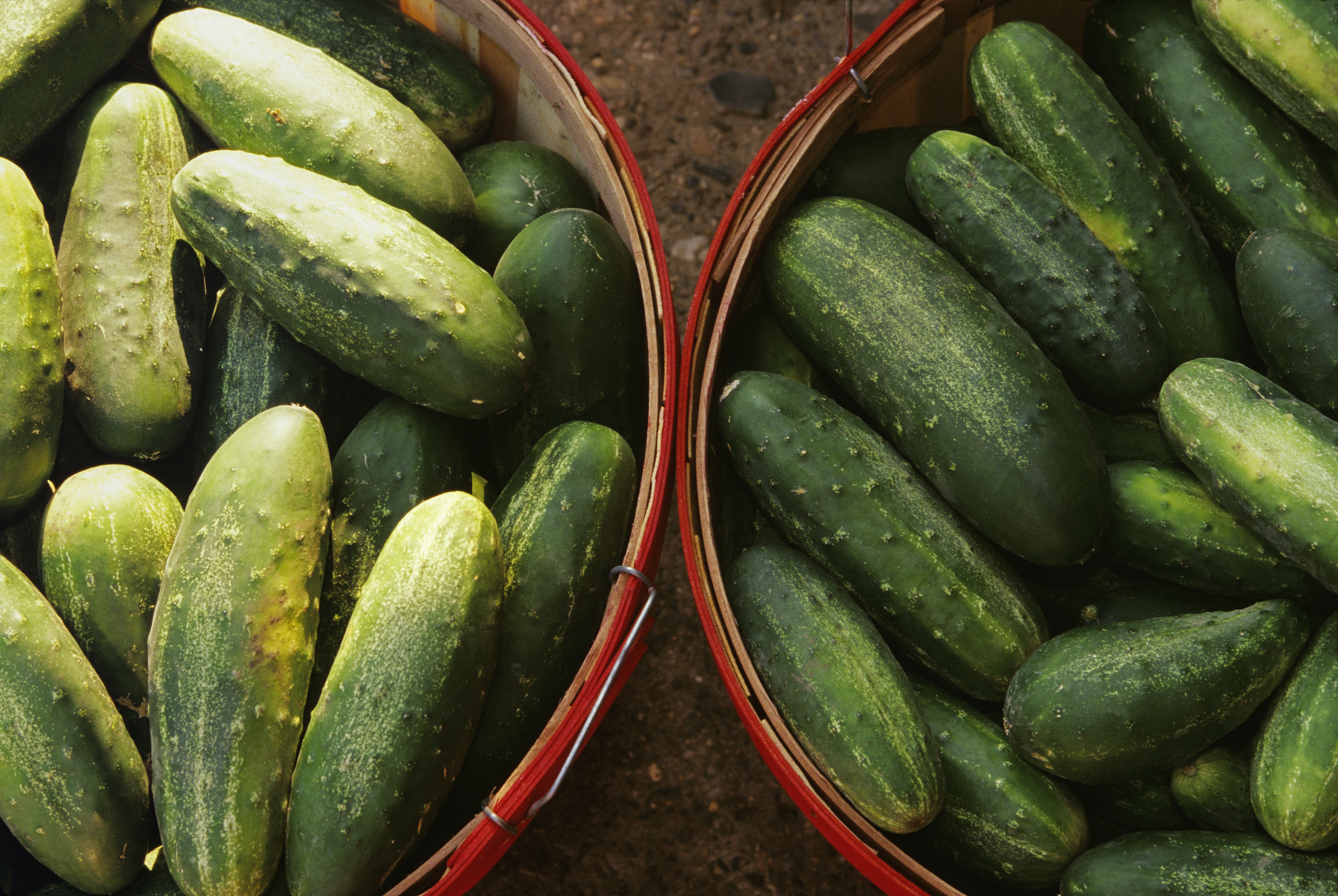 The FDA is warning people not to sell, serve or eat cucumbers grown by Bedner Growers and distributed by Fresh Start Produce Sales between April 29 and May 19.