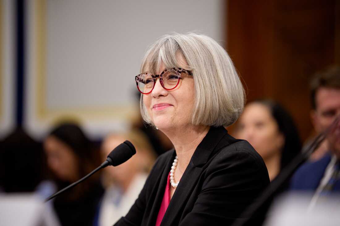 Anthea Hartig, director of the National Museum of American History, appearing in front of the House DOGE subcommittee on Capitol Hill on Tuesday.
