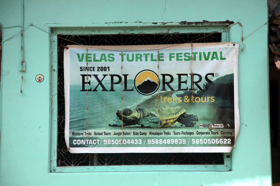 An advertisement for the Velas Turtle Festival in the western Indian village of Velas. The festival is an eco-tourism project that invites visitors to watch olive ridley sea turtle hatchlings enter the sea.