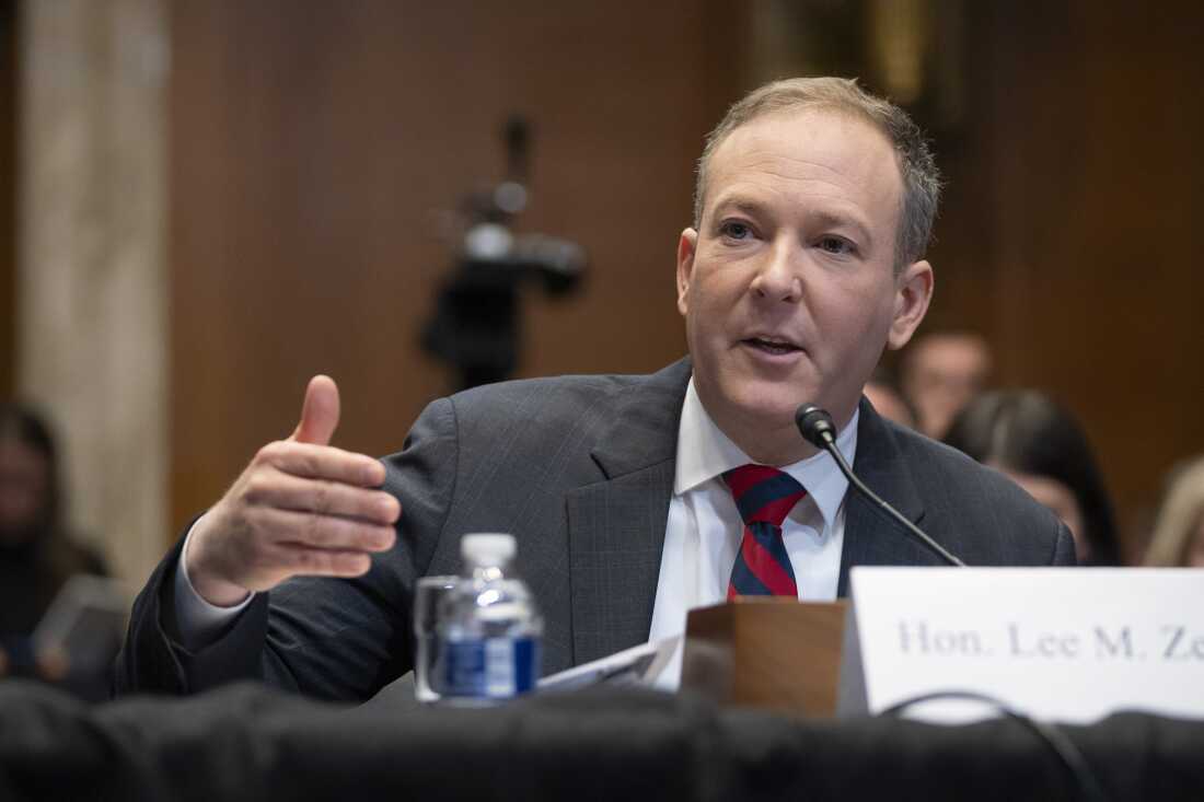 Former Rep. Lee Zeldin, R-N.Y., President-elect Donald Trump's pick to head the Environmental Protection Agency, appears before the Senate Environment and Public Works Committee on Capitol Hill.