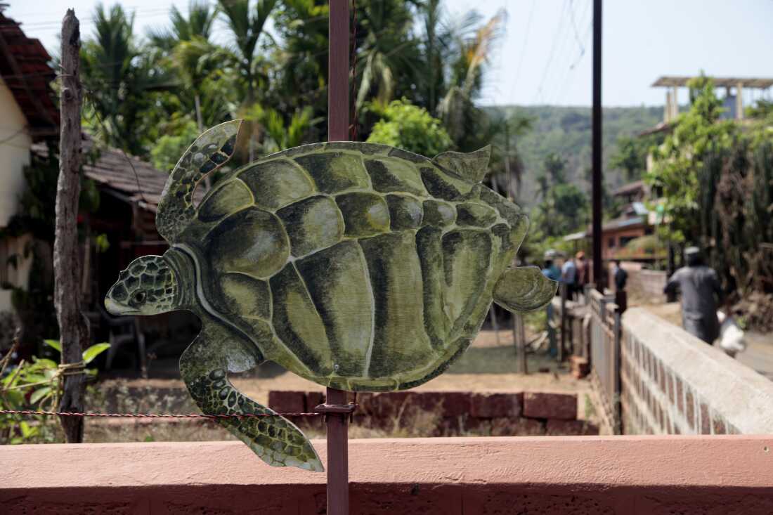 A turtle image decorates a home in the western Indian village of Velas.