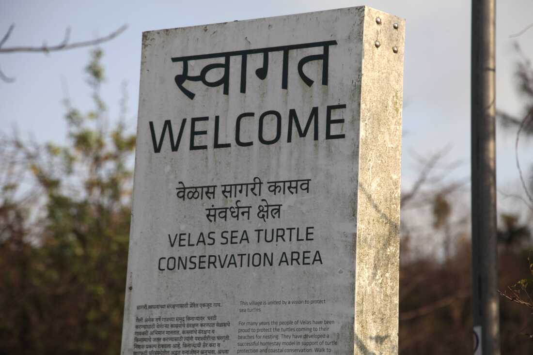 A sign welcomes tourists to the Velas Sea Turtle Conservation Area, in the western Indian seaside village of Velas, where olive ridleys come to nest.