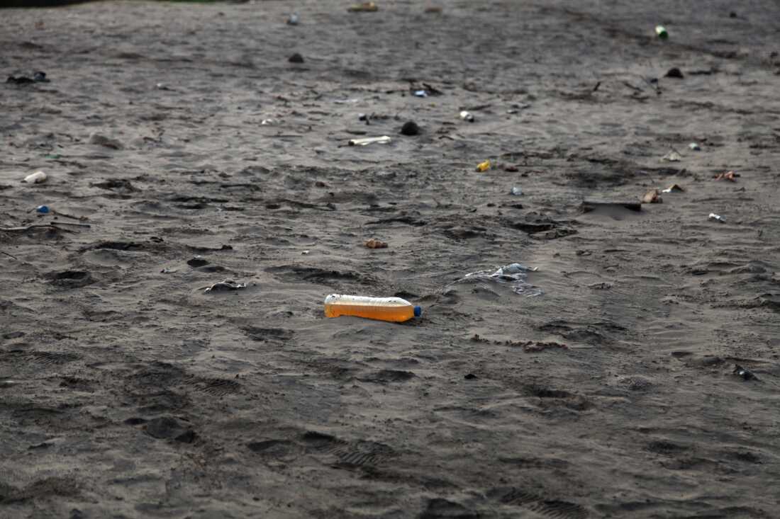 Trash is strew on a nesting site used by olive ridley sea turtles. The species is vulnerable to extinction but some efforts in India have helped their numbers improve. Still, garbage is among the human-made obstacles for the turtles.