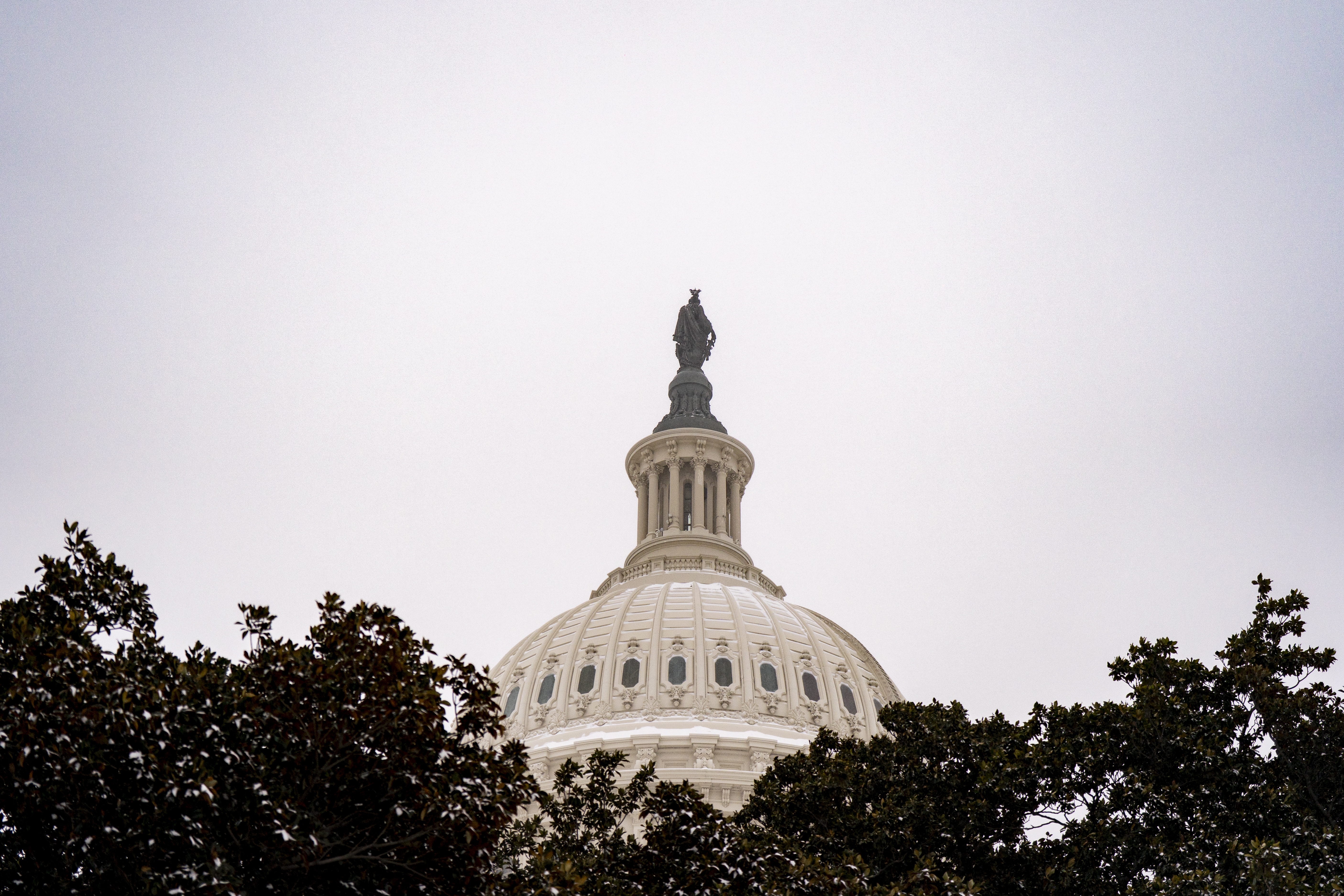 The dome of the U.S. Capitol is framed through a tree on Jan. 25.