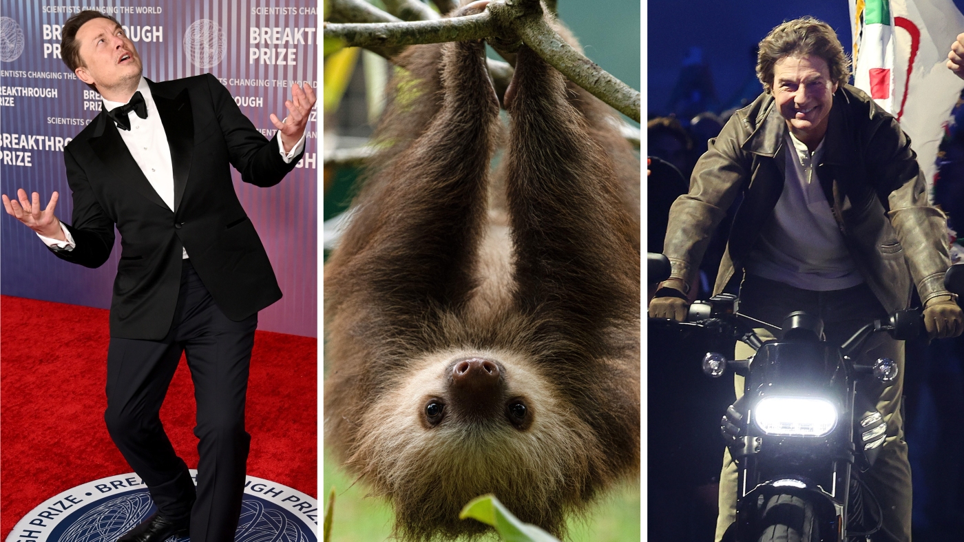 Who or what did Trump call 'the greatest cutter' this week? Find out in the quiz