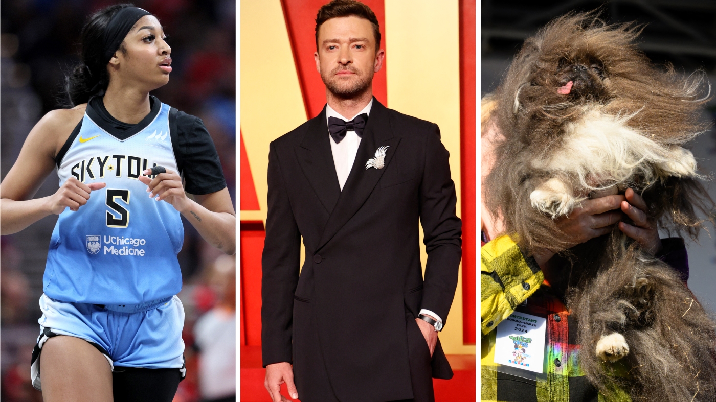 Is your dog ugly? Find out in this week's news quiz