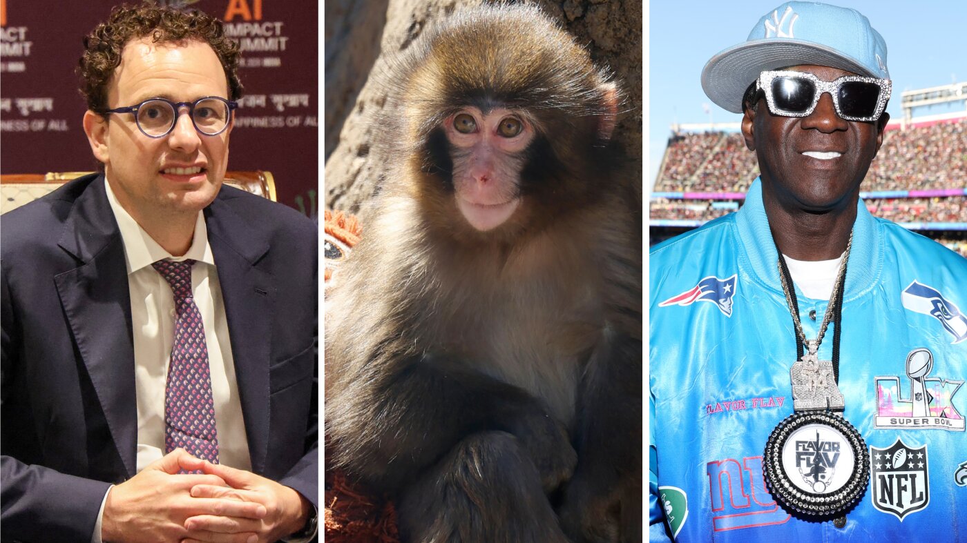 State of the Union? More Like State of Our Mass Distraction!