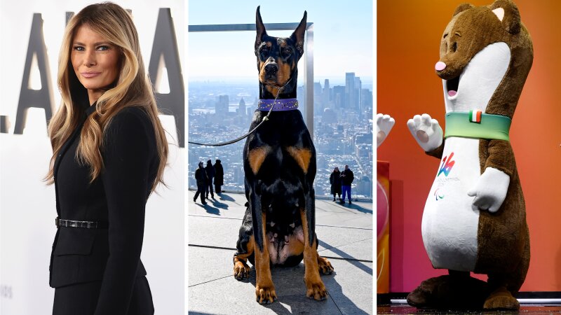 From left: first lady, best in show, Tina — or is that Milo?