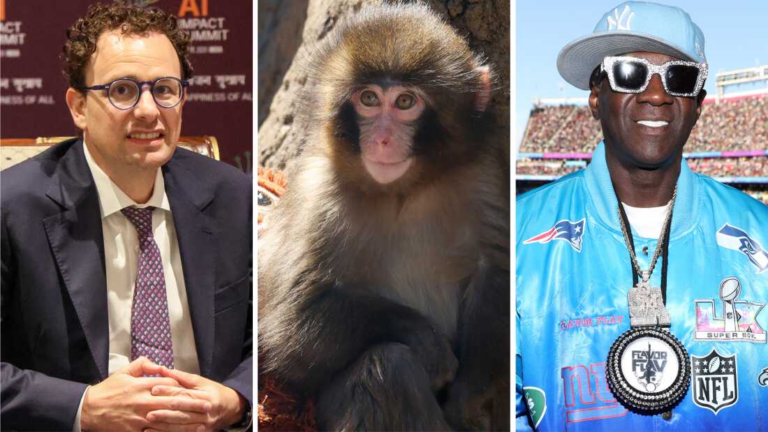 Forget the State of the Union. What’s the state of your quiz score?