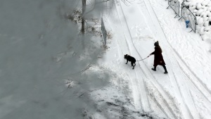 People walk through the snow in Brooklyn after an overnight storm on Dec 27, 2025 in New York City.