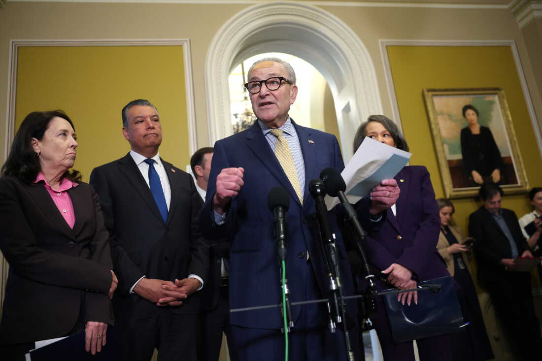 Sen. Chuck Schumer, D-N.Y., joined by fellow Democrats, announced the launch of the Senate Democrats' elections task force at the U.S. Capitol on April 29.