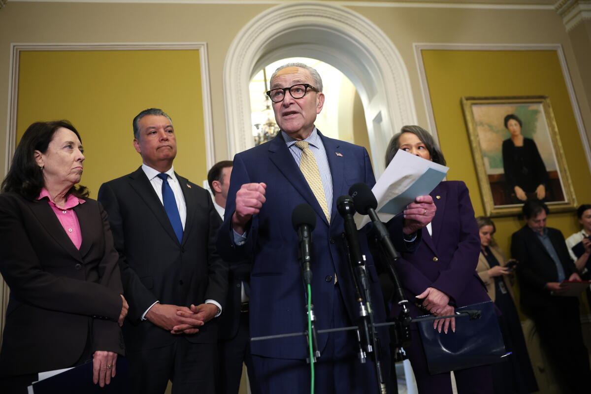 Sen. Chuck Schumer, D-N.Y., joined by fellow Democrats, announced the launch of the Senate Democrats' elections task force at the U.S. Capitol on April 29.