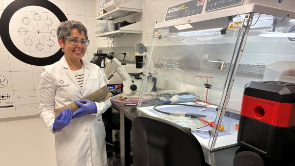 Colossal Biosciences scientist Beth Shapiro, wearing a white lab coat and purple latex gloves, holds a portion of a woolly mammoth tusk recovered from the Arctic.
