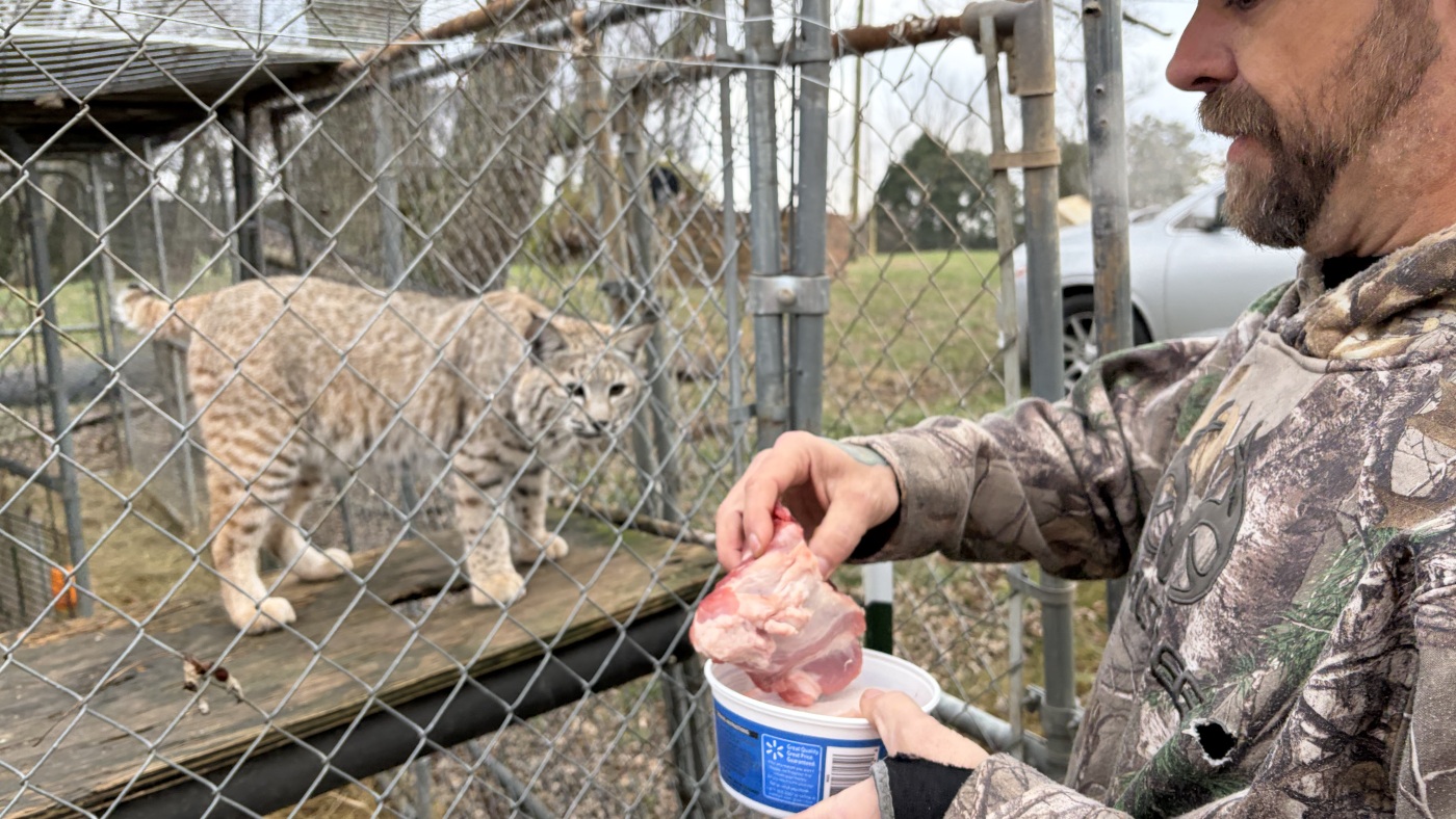 Millions of soon-to-be uninsured Americans are looking for a 'plan B'