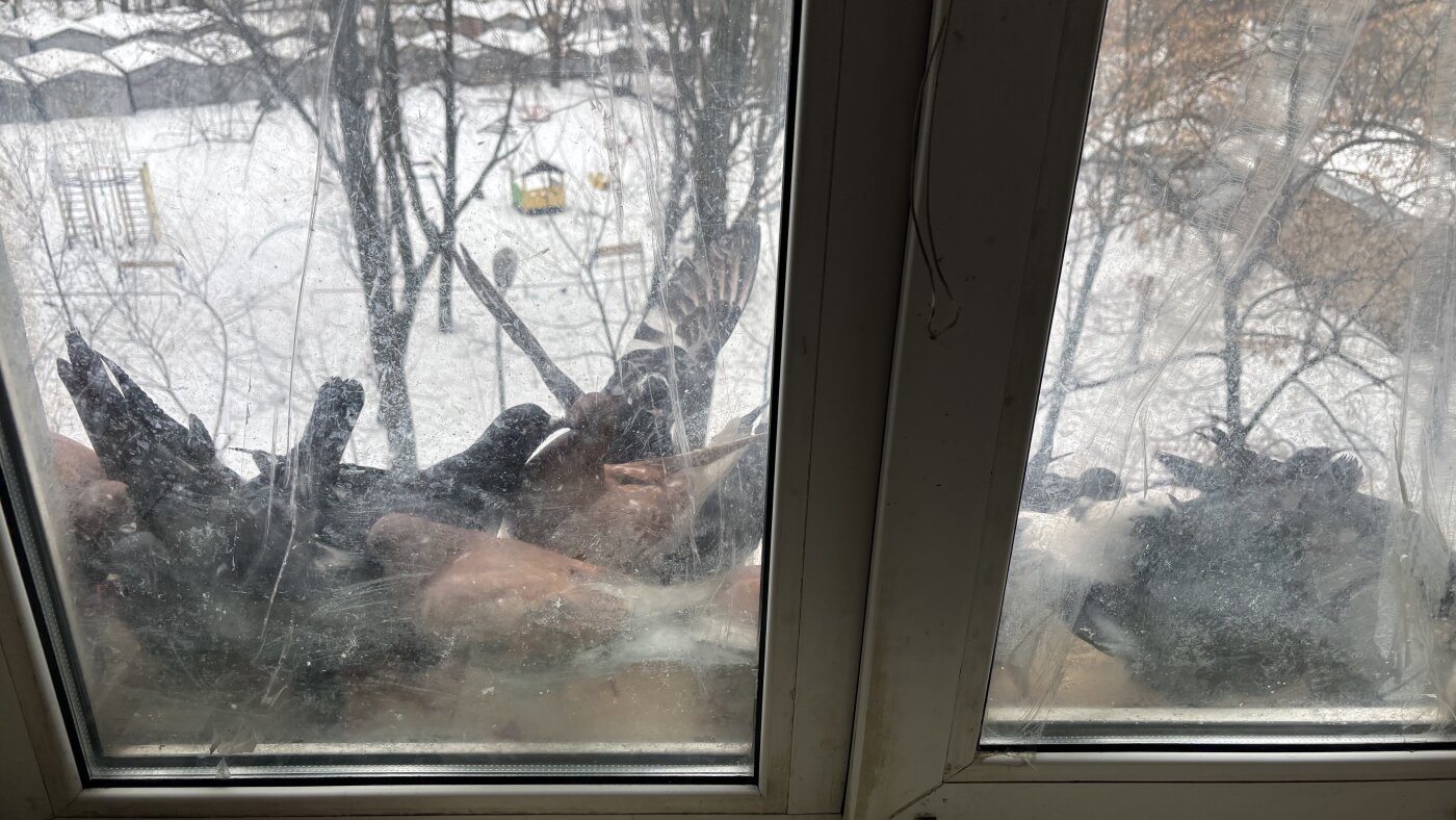 Kyiv's elderly endure blackouts and bombardment, clinging to warmth and hope