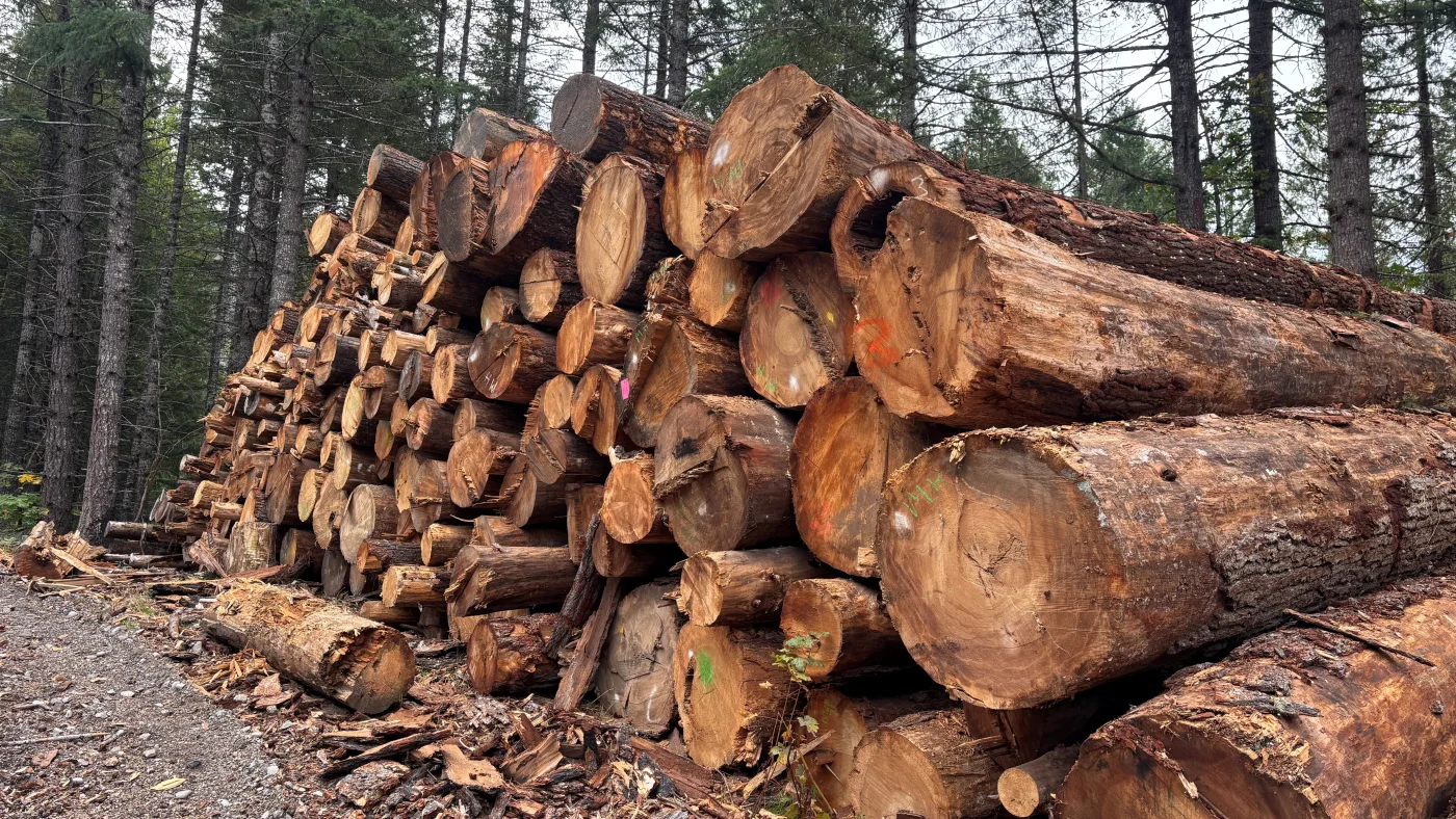 Loggers say Roadless Rule repeal won't solve their biggest challenges