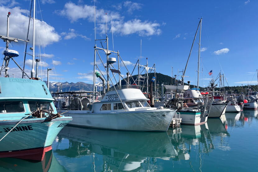 The Haines harbor on a clear day in September, 2026.